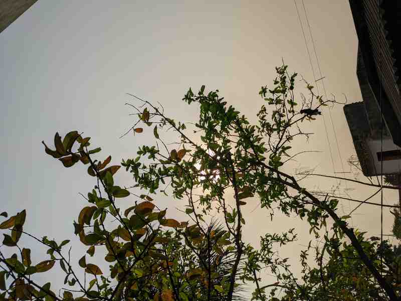Nature Photography