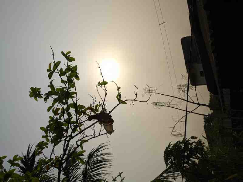 Nature Photography