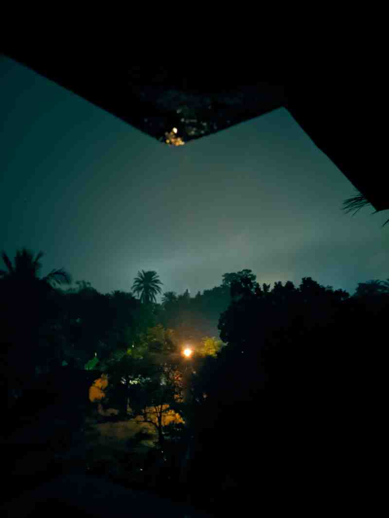 Nature Photography