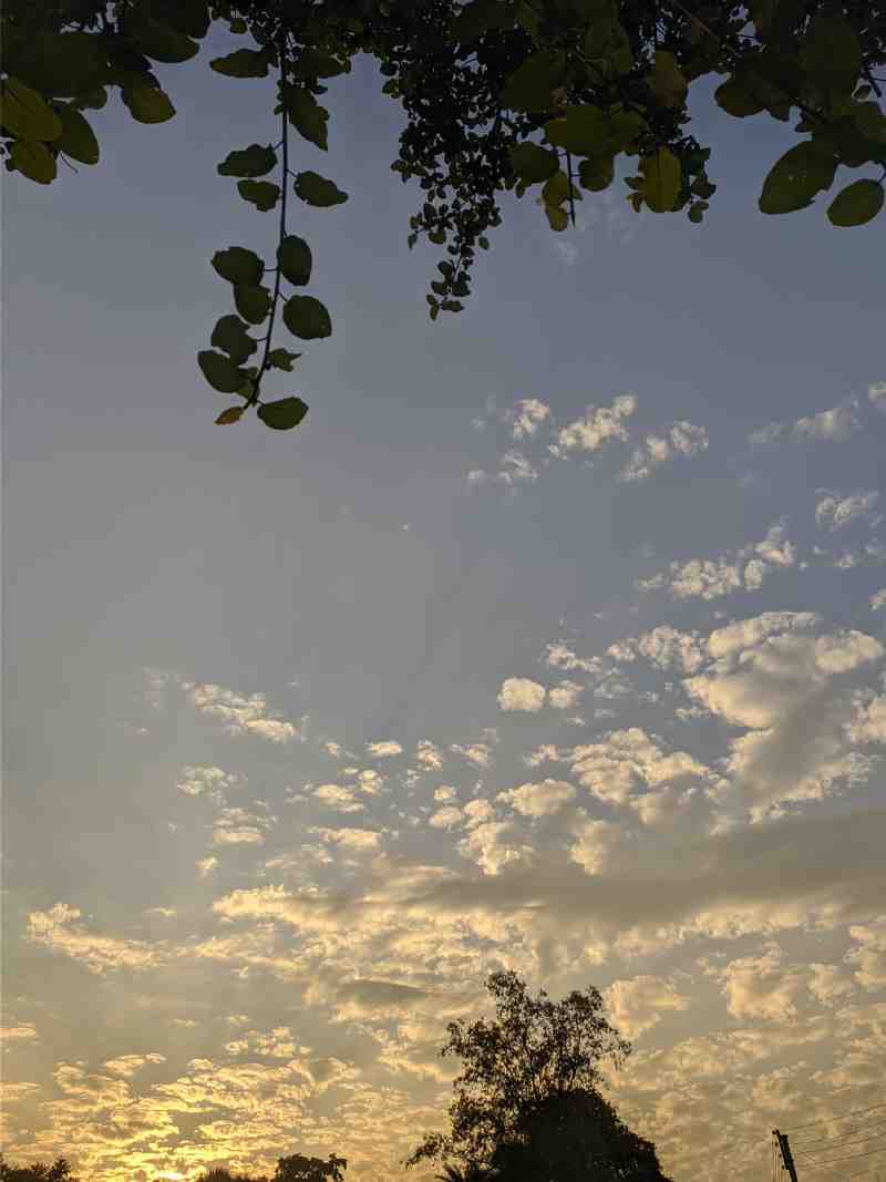 The Golden Hour