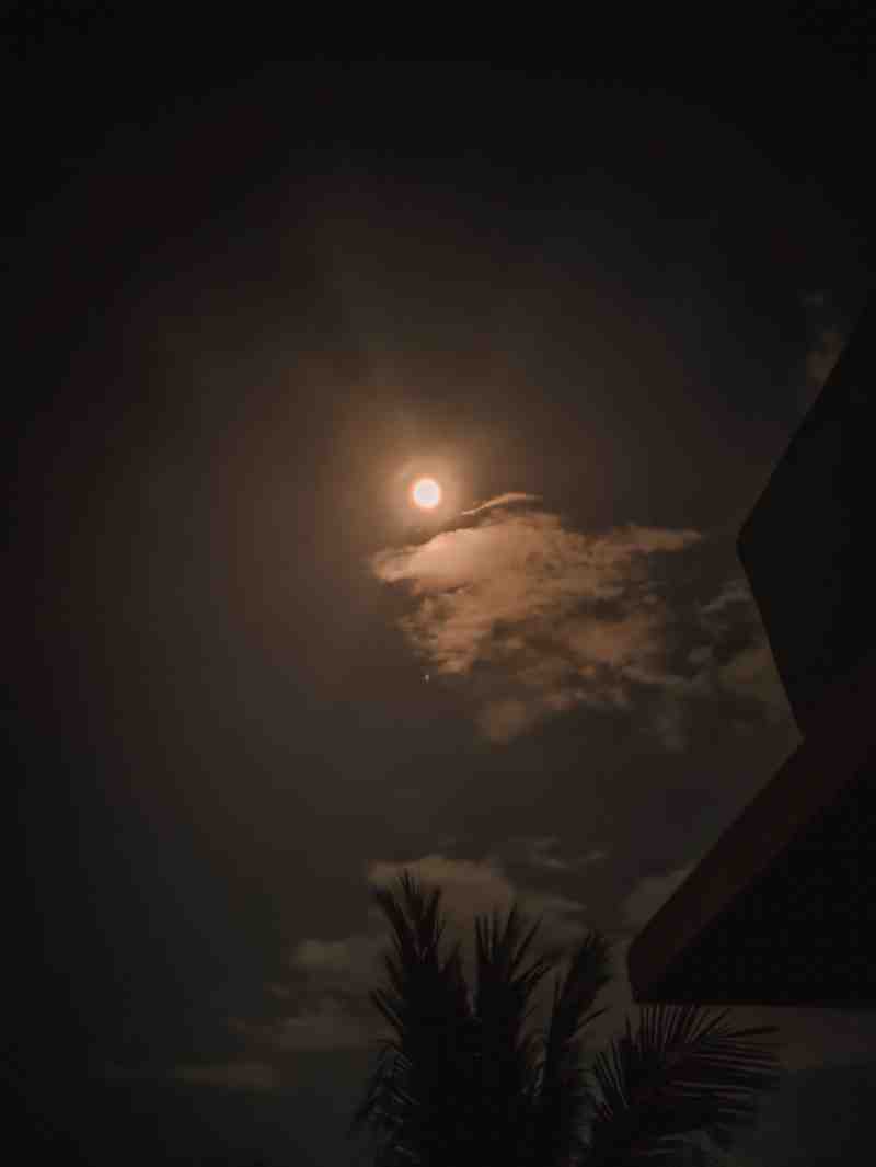 Night Sky