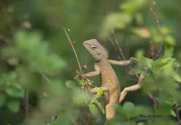 Don't Underestimate Me