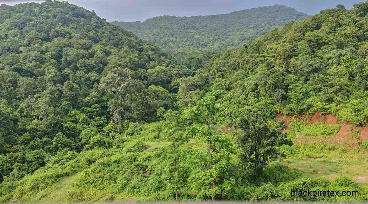 Hills in Ranchi 1