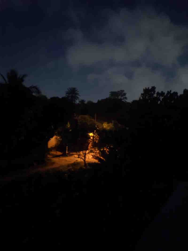 Nature Photography
