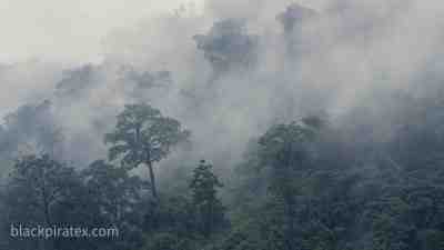 Nature of Bhutan 1