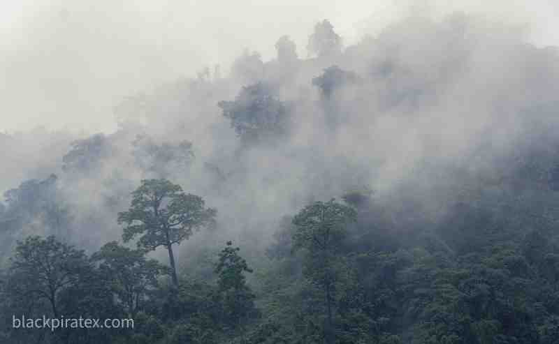 Nature of Bhutan 1