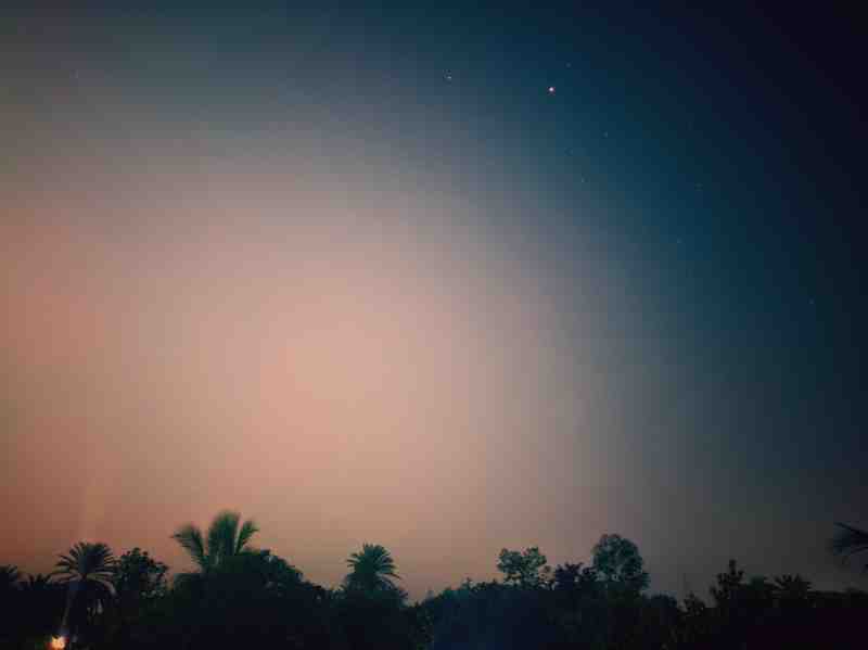 Nature Photography