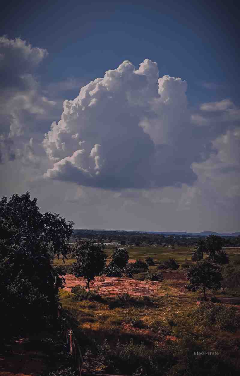 Nature Photography