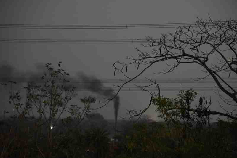 Tree and Factory